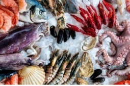 Những thói quen ăn uống làm tăng nguy cơ mắc bệnh gout