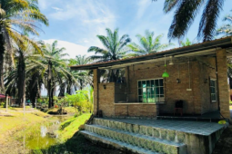 Chưa già đã kiệt sức, giới trẻ Malaysia đổ xô đến 'nhà dưỡng lão'