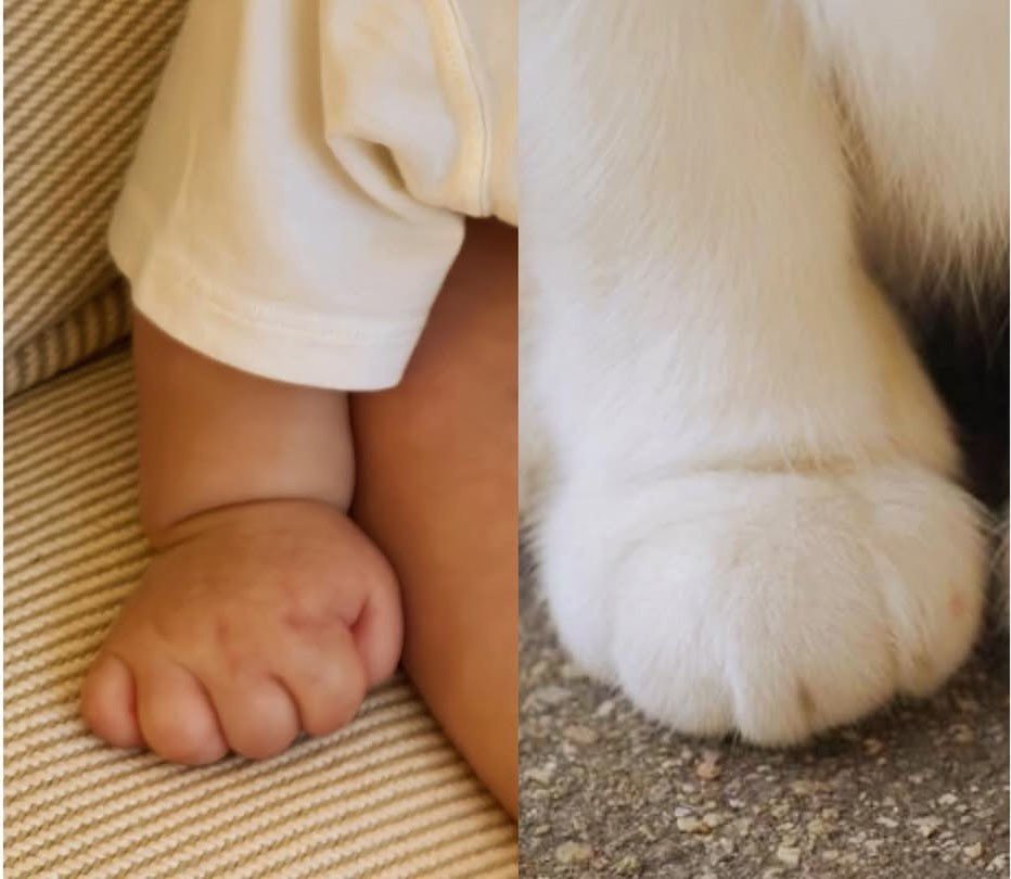 Son Ye Jin giữ kín diện mạo con trai, chỉ thỉnh thoảng chia sẻ chi tiết nhỏ về quý tử. Ảnh: IGNV