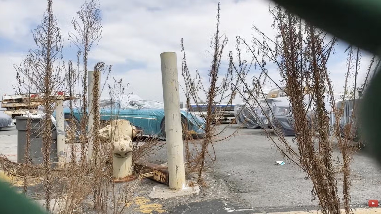 Bí ẩn dàn siêu xe trị giá 50 triệu USD xuất hiện tại sân bay - 2