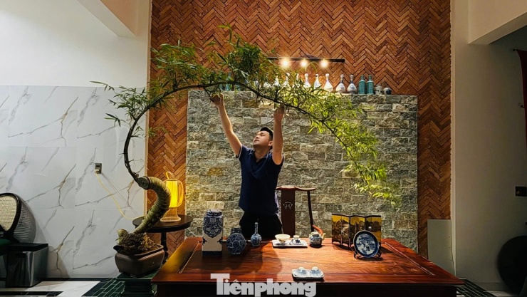 Từ những “củ tre” khô cứng bị bỏ quên, anh Hồ Ngọc Kha đã thổi vào đó sức sống mới, biến chúng thành những “siêu phẩm” nghệ thuật giữa lòng đô thị Quảng Ngãi.