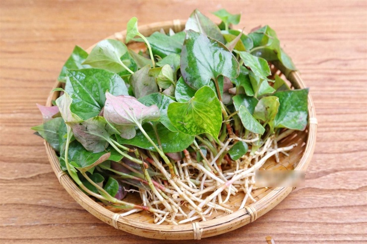 Nhiều người thích loại rau này vì thấy mùi thơm tươi mát và kích thích vị giác, trong khi những người khác lại không thích vì thấy mùi khó chịu.