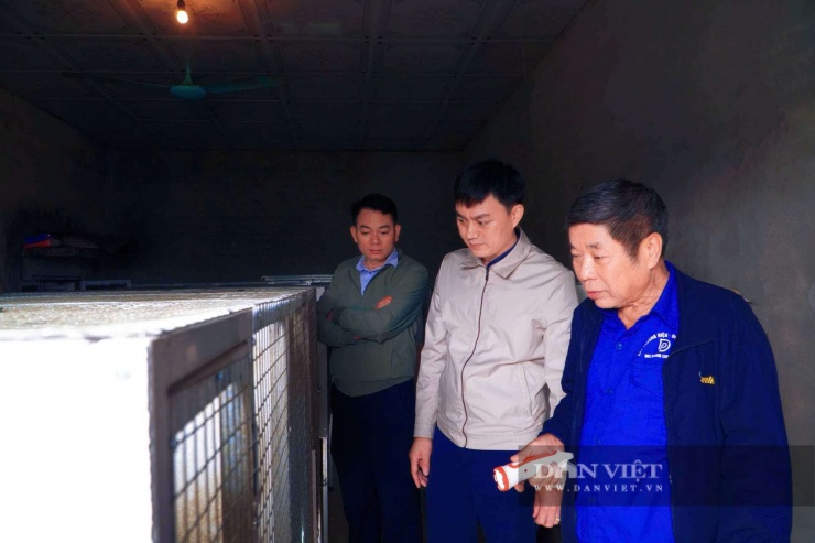 Lãnh đạo Hội Nông dân phường Phúc Thuận tham quan mô hình nuôi cầy hương của gia đình ông Thái. Ảnh: Ngô Huy