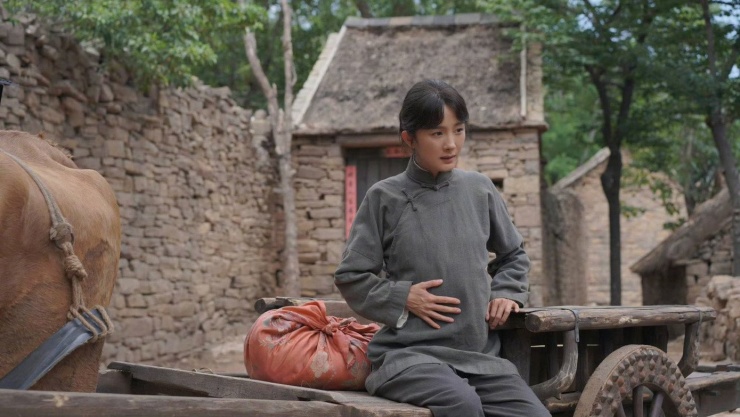 Cuộc đua giữa Triệu Lệ Dĩnh - Dương Mịch đã có kết quả, ai chịu cảnh thất thế? - 6