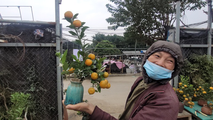 Bình quất bonsai được rao bán tại vườn có giá 300 ngàn đồng