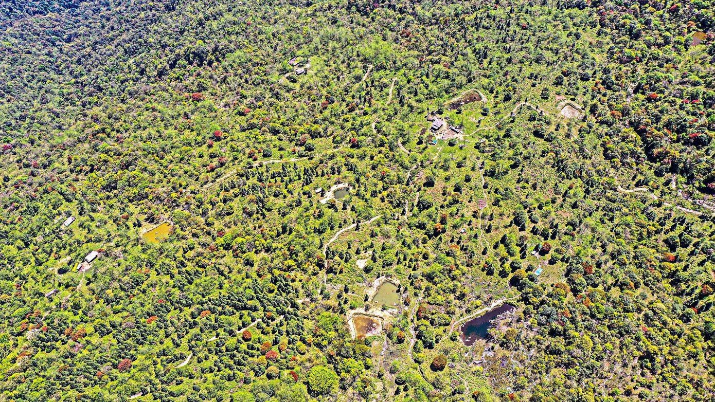 Để chinh phục đỉnh Chiêu Lầu Thi phải mất hơn 3 giờ leo bộ. Nếu chinh phục đỉnh núi này vào mùa hè, thời tiết mát mẻ mùa thu, cảnh sắc như mùa xuân. Còn vào mùa đông, trời cực kì lạnh giá. Dọc theo đường lên núi là những cánh rừng già nguyên sinh với một quần thể thực vật phong phú, đặc biệt là có nhiều loài cây quý hiếm như cây tống quán sủ, cây chè shan tuyết, cây kim tuyến, đỗ quyên…