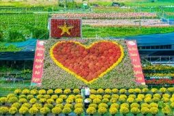 Thủ phủ hoa lớn nhất miền Tây bừng sắc, du khách tranh thủ 'check -in'