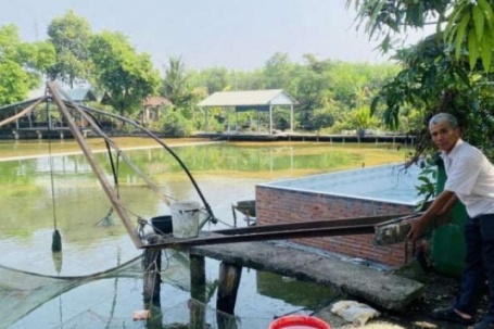Nông dân TPHCM (địa bàn Bình Dương) nuôi cá kiểu 'hai trong một' sinh tiền tỷ, mô hình nông nghiệp đô thị