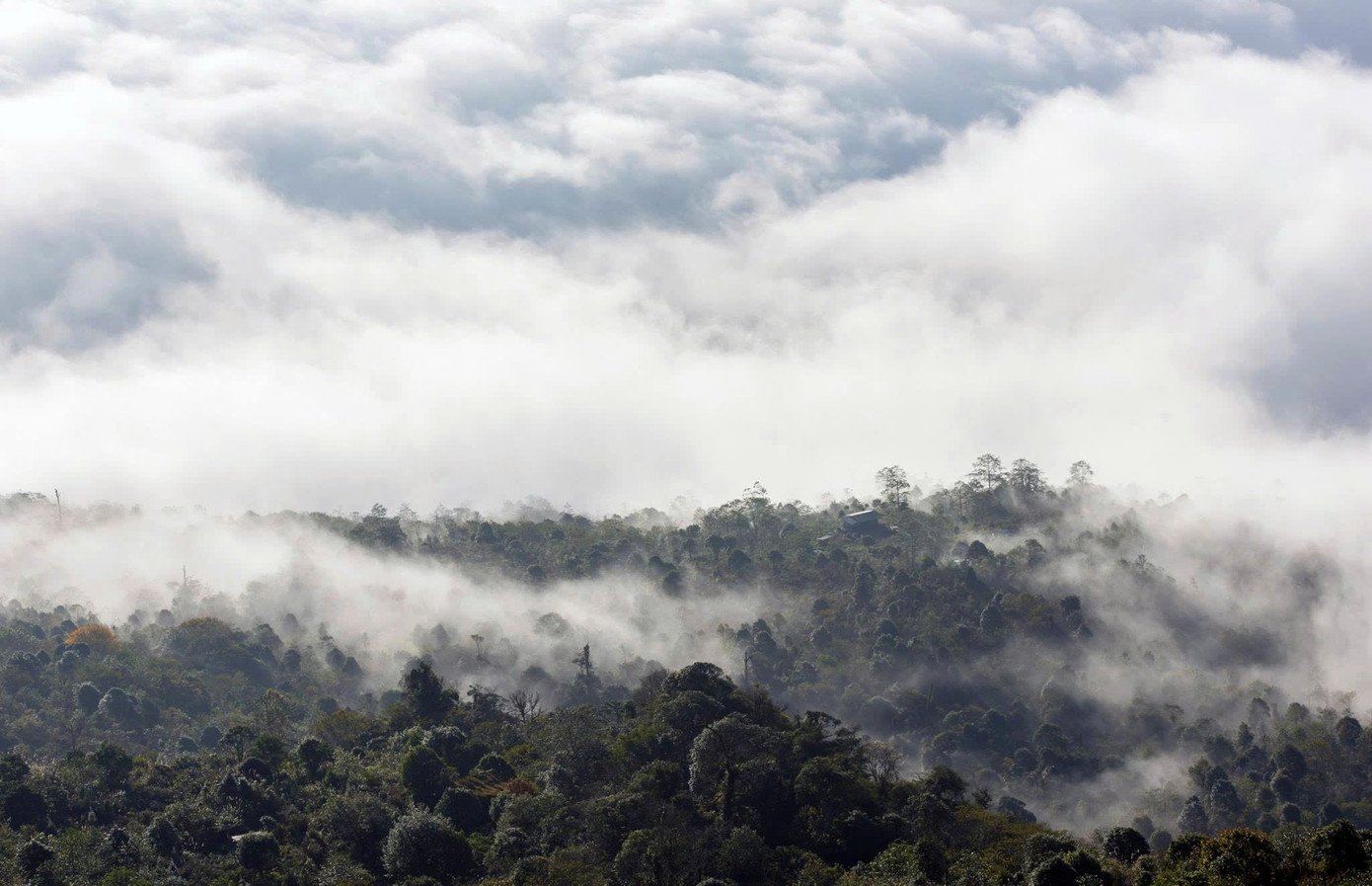 Đỉnh núi Chiêu Lầu Thi thường có những thảm mây trắng bồng bềnh dưới độ cao trên 2.000m. Tuy nhiên, thời gian săn mây đẹp nhất ở đây là từ tháng 9 năm trước đến tháng 2 năm sau, cùng lúc với mùa lúa ruộng bậc thang chín rộ hoặc khi hoa xuân đua nở, trong đó có cả hoa đào.
