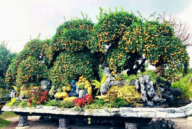 Theo chủ vườn, đây là những tác phẩm được đầu tư công phu từ khâu chọn cây, tạo dáng, phối chậu đến cách sắp đặt tổng thể, lấy cảm hứng từ các giá trị phong thủy truyền thống của người Á Đông. Mỗi tác phẩm không chỉ để chơi Tết mà còn gửi gắm mong ước về một năm mới an khang, sung túc.