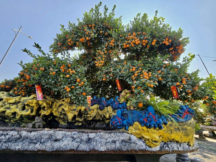 Bên cạnh đó, tác phẩm Lộc có giá 120 triệu đồng được tạo hình như một thỏi vàng khổng lồ – biểu tượng của tiền tài và sự sung túc. “Thỏi vàng” dài khoảng 4 m, cao 3,3 m, rộng 1,8 m, nổi bật giữa không gian trưng bày. Những chùm quýt chu sa sai trĩu, tán cây gọn gàng càng làm nổi bật thông điệp lộc đầy, tiền đủ mà tác phẩm hướng tới.