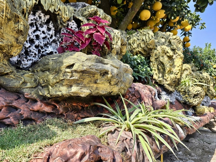 Tại nhà vườn Thành Thủy, không khí cũng sôi động không kém với hàng loạt tác phẩm cây cảnh quy mô lớn. Gây ấn tượng mạnh là tác phẩm bưởi Diễn mang tên Tam Đa Phúc – Lộc – Thọ, được định giá 166 triệu đồng. Tác phẩm tạo khối vững chãi, kết hợp họa tiết vàng – bạc cùng các yếu tố nước, khói và cá cảnh, tạo nên tổng thể hài hòa, bắt mắt.