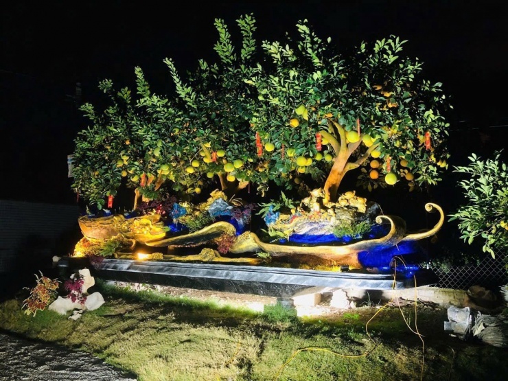 Ba cây bưởi Diễn trong tác phẩm Tam Đa có thế đứng chắc chắn, tán cân đối, quả sai trĩu phân bố đều, gợi cảm giác sung túc, đủ đầy – điều mà nhiều gia đình mong cầu trong dịp Tết đến, xuân về.