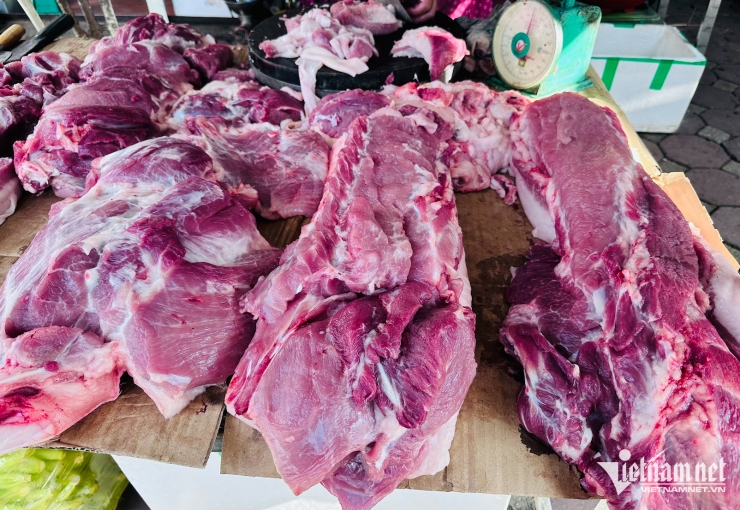 Cận Tết Nguyên đán, giá lợn hơi tăng đột biến. Ảnh: Tâm An