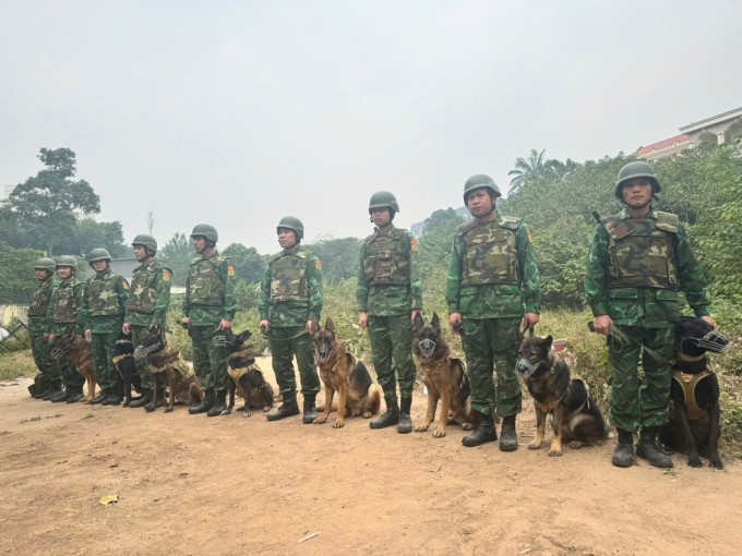Trường Trung cấp 24 Biên phòng triển
khai 3 phân đội tham gia bảo vệ Đại hội Đảng XIV, trong đó 2 phân
đội ém lót đảm bảo an ninh an toàn và một phân đội trực tìm kiếm
cứu nạn. Lực lượng cán bộ, chiến sĩ bộ đội biên phòng được huy động
với 16 chó nghiệp vụ, từng tham gia nhiều nhiệm vụ quan trọng của
quân đội.
