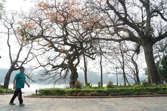 Miền Bắc hửng nắng ấm trước khi đón không khí lạnh.