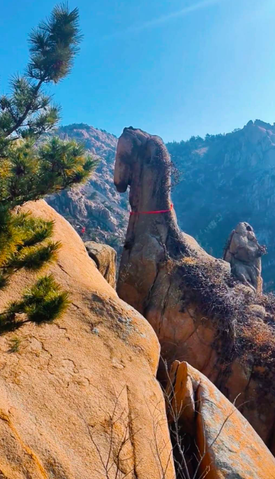 Tảng đá hình ngựa trên núi Đại Chu ở Thanh Đảo khiến nhiều người thích thú, biến nơi đây thành điểm du lịch hấp dẫn