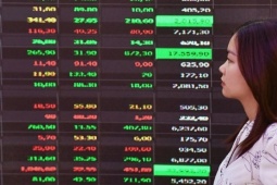 Chứng khoán tăng hơn 40% một năm, vì sao nhiều nhà đầu tư vẫn thua lỗ?