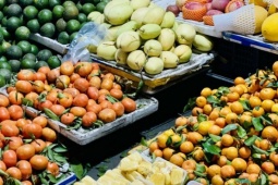 Quýt giá rẻ bán đầy thị trường, tiểu thương bật mí ‘bí kíp’ phân biệt hàng Việt Nam và hàng Trung Quốc