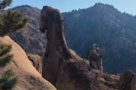 Tảng đá hình ngựa trên núi hút du khách check-in