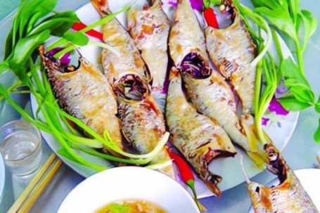 Loài cá độc quyền ở sông Hồng, mỗi năm ngược dòng đẻ trứng, thịt béo ngậy, làm đủ món ngon