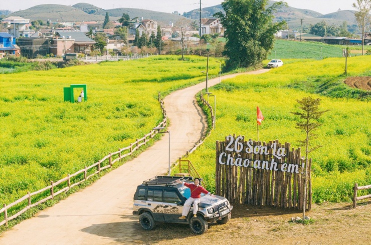 Mùa hoa cải vàng không chỉ mang đến vẻ đẹp say lòng người, mà còn góp phần làm phong phú thêm sản phẩm du lịch của Mộc Châu. Không kiêu sa, lộng lẫy như hoa đào hay hoa mận, hoa cải vàng mang vẻ đẹp dung dị, mộc mạc của vùng cao nguyên. Những bông hoa nhỏ bé nhưng đầy sức sống, vươn mình trong nắng, đung đưa theo làn gió, tạo nên những thảm hoa vàng rực rỡ, làm bừng sáng cả không gian. Chính vẻ đẹp bình dị ấy đã trở thành điểm nhấn, khiến du khách dễ dàng rung động khi đặt chân đến nơi đây.