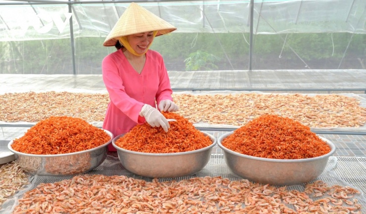 Với các mặt hàng tôm khô Cà Mau hiện đang rơi vào tình trạng cung không đủ cầu, bởi nhu cầu tăng cao khi Tết Nguyên đán đến gần