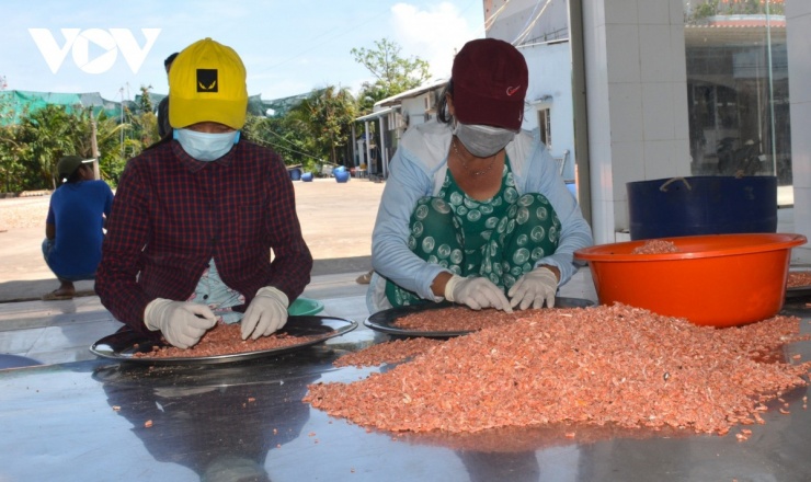 Đối với dòng tôm khô làm từ nguyên liệu biển, dù có giá thành thấp hơn nhưng cũng dao động từ 500.000 - 850.000 đồng/kg