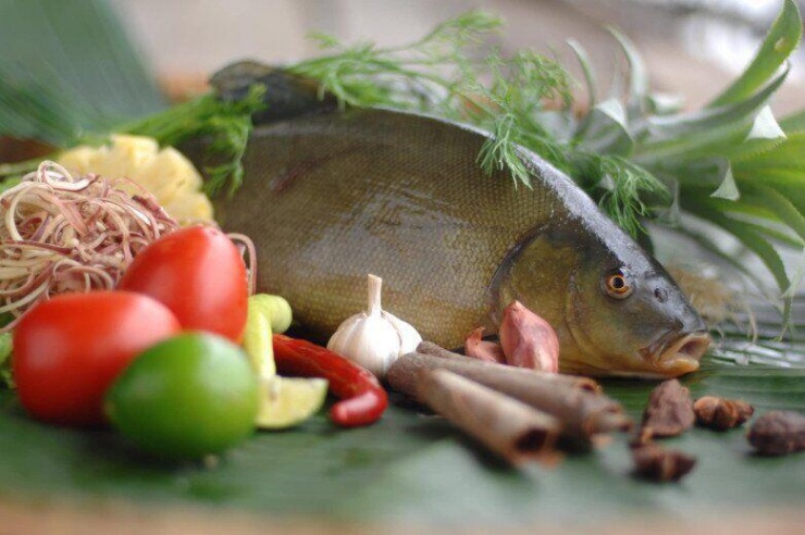 Với hàm lượng dinh dưỡng cao, đặc biệt loại cá này được mệnh danh là "thần hộ mệnh" của lá lách, dạ dày, hỗ trợ hệ tiêu hoá cực tốt (Ảnh minh hoạ)