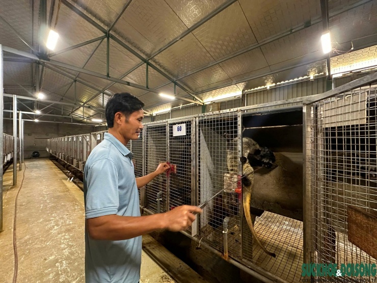 Ông Nguyên chọn xây dựng trang trại theo hướng khép kín, có camera giám sát 24/24.