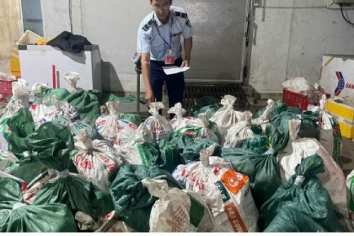 TP.HCM phát hiện kho hàng chứa hơn 18 tấn thịt và lòng bò không rõ nguồn gốc