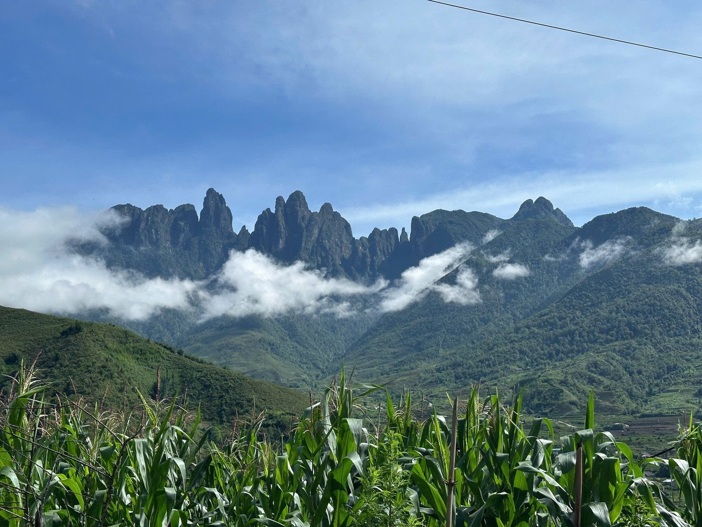 Ngũ Chỉ Sơn thuộc khu vực đèo Hoàng Liên Sơn, nằm giáp ranh giữa xã Ngũ Chỉ Sơn (tỉnh Lào Cai) và xã Bình Lư (tỉnh Lai Châu). Đỉnh núi cao 2.858m, là một trong 15 đỉnh núi cao nhất Việt Nam. Ngũ Chỉ Sơn còn được gọi là “núi bàn tay” hay “núi năm ngón tay”, bởi gồm năm ngọn núi đứng sát nhau, nhìn từ xa như năm ngón tay xòe thẳng lên trời. Đây là một dãy núi đá độc lập, được ví như gạch nối giữa khối núi Fansipan và Bạch Mộc Lương Tử.
