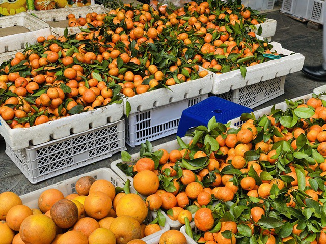 Tại cả thị trường truyền thống và online, quýt đường đang được rao bán với mức giá tương đối rẻ.