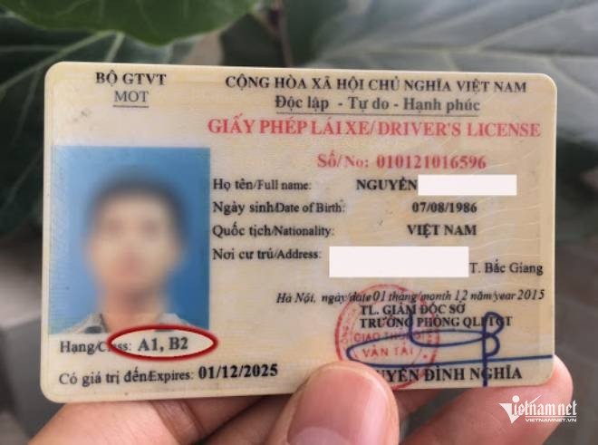GPLX phù hợp là một trong những giấy tờ cần mang theo người và xuất trình khi được yêu cầu. Ảnh: Hoàng Hiệp