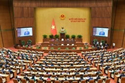 Chi tiết danh sách đơn vị bầu cử và số đại biểu Quốc hội được bầu của từng tỉnh, thành phố