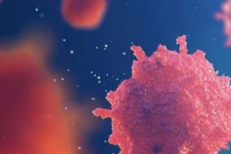 Loại quả 'siêu thực phẩm' bán nhiều ở chợ, người Việt nên ăn để ngăn ngừa tế bào ung thư