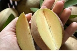 Việt Nam có loại quả lâu đời là “thuốc bổ tự nhiên”, cứ ra chợ là thấy