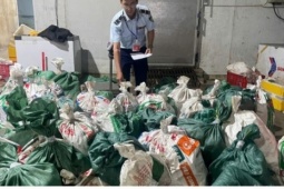 TP.HCM phát hiện kho hàng chứa hơn 18 tấn thịt và lòng bò không rõ nguồn gốc