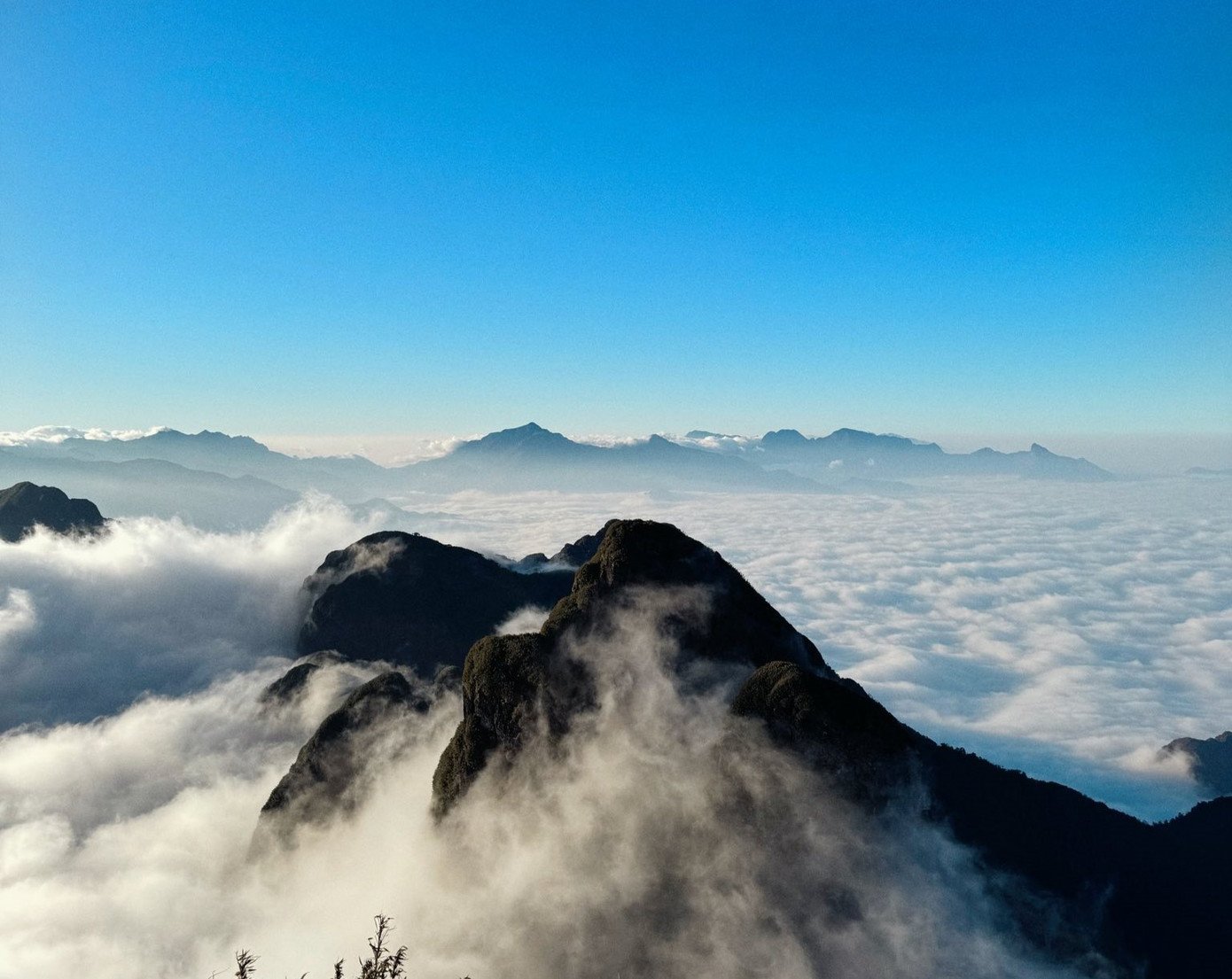 Theo anh Sơn, nhóm của anh may mắn bắt gặp biển mây trên đỉnh núi. Khi đó, mặt trời chưa khuất hẳn, ánh nắng len qua từng lớp mây trắng dày đặc, mở ra khung cảnh lung linh.