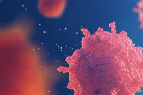 Loại quả 'siêu thực phẩm' bán nhiều ở chợ, người Việt nên ăn để ngăn ngừa tế bào ung thư