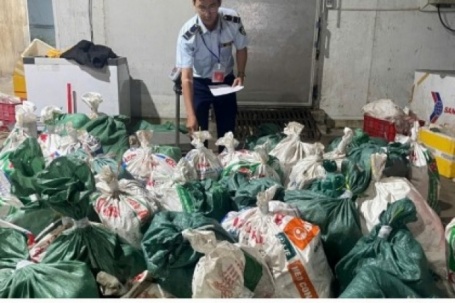 TP.HCM phát hiện kho hàng chứa hơn 18 tấn thịt và lòng bò không rõ nguồn gốc