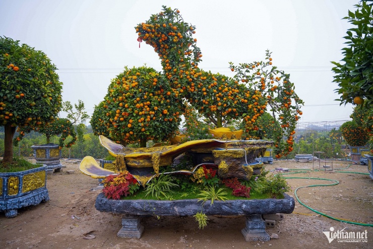 Chậu quýt cổ chu sa tạo hình ngựa có giá lên tới 40 triệu đồng tại một nhà vườn ở Hưng Yên. Sản phẩm mang ý nghĩa đại cát, đại lợi đón Tết Bính Ngọ 2026.