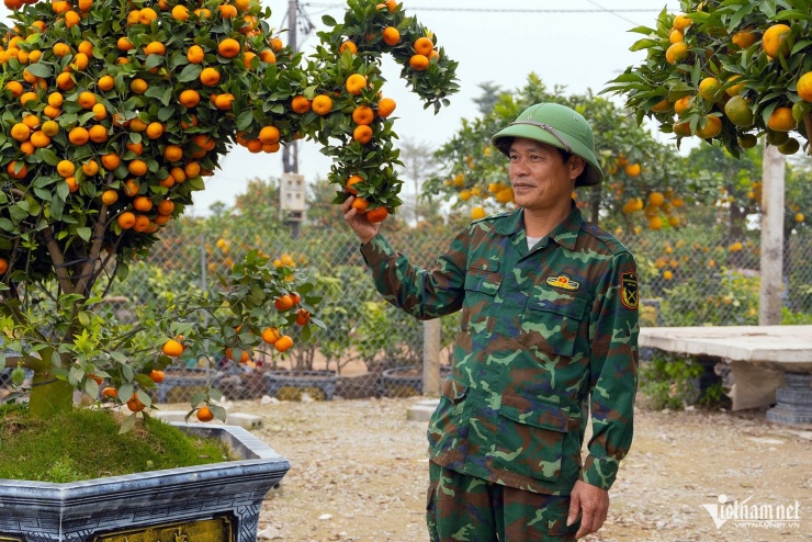 Quýt cổ chu sa hình ngựa giá 40 triệu đồng vẫn 'cháy hàng' trước Tết - 4
