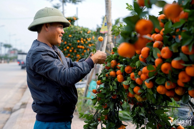 Để có được một tác phẩm ưng ý, khâu chuẩn bị phôi cây cực kỳ khắt khe. Cây quýt chu sa phải đạt độ tuổi tối thiểu từ 3 năm trở lên mới đủ tiêu chuẩn để bắt đầu uốn nắn. Thời gian hoàn thiện một chú ngựa đơn lẻ mất khoảng hơn 2 ngày công.