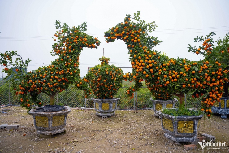 Hiện tại, một cặp ngựa quýt cảnh đang được bán với giá khoảng 26-30 triệu đồng.&nbsp;