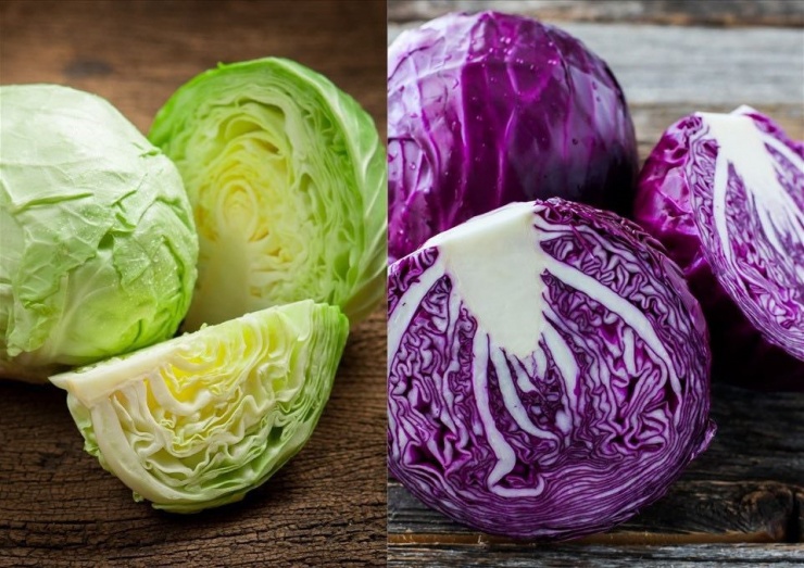 Bắp cải có tác dụng thanh nhiệt, giải độc, sinh tân dịch, lợi tiểu.