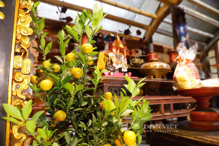 Di sản hơn 400 năm tuổi trở thành nơi khám phá và "sống ảo" Tết cổ truyền đậm chất Hà thành - 9