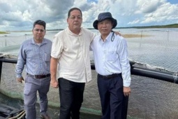 Việt Nam mang loài cá bình dân mà bổ dưỡng ngang cá hồi sang nuôi ở Cuba theo kiểu Việt Nam, cá lớn nhanh như thổi