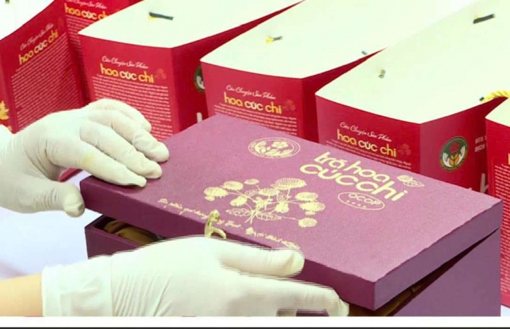 Sản phẩm trà cúc chi của HTX sản xuất, kinh doanh dịch vụ nông nghiệp xã Thắng Thủy (xã Vĩnh Thịnh,TP Hải Phòng). Ảnh: Thu Thuỷ