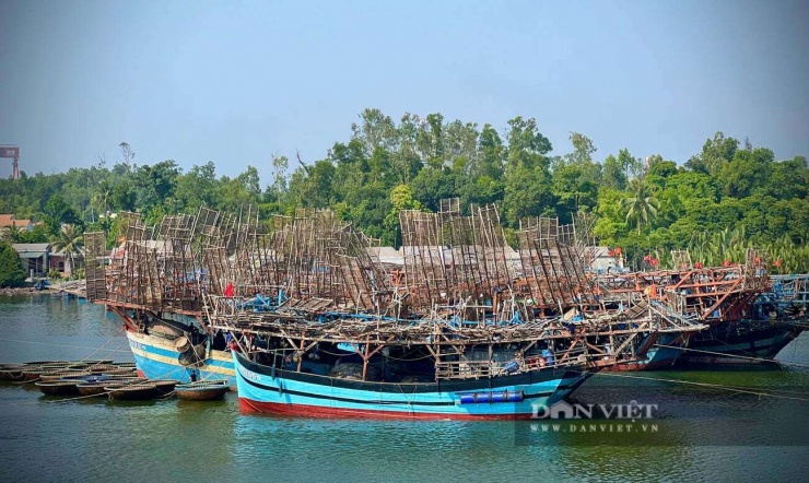 Tuy nhiên, bù lại, giá bán mực xà hiện đang “neo” ở mức cao, từ 270.000 – 300.000 đồng/kg, đầu ra ổn định nên bà con ngư dân rất phấn khởi. Ngư dân Nguyễn Văn Trực (xã Vạn Tường) cho biết, trung bình mỗi chuyến ra khơi, mỗi lao động khai thác được gần 200kg mực. Với mức giá như hiện nay, sau khi trừ chi phí, ngư dân thu về hàng chục triệu đồng/người.